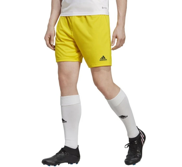 Pánské šortky Entrada 22 M model 18338738 - ADIDAS Pánské šortky Entrada 22 M model 18338738 - ADIDAS