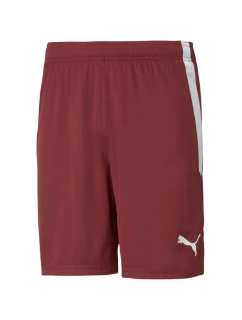 Šortky Puma teamLIGA M 704924 09