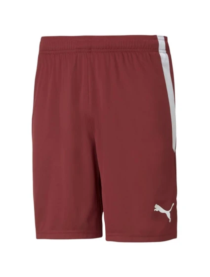 Šortky Puma teamLIGA M 704924 09