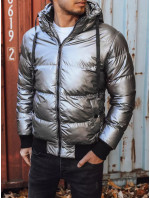 Pánska zimná bunda s kapucňou, strieborná Dstreet TX3948