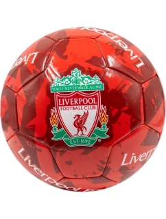 Liverpool FC futbal 7009800