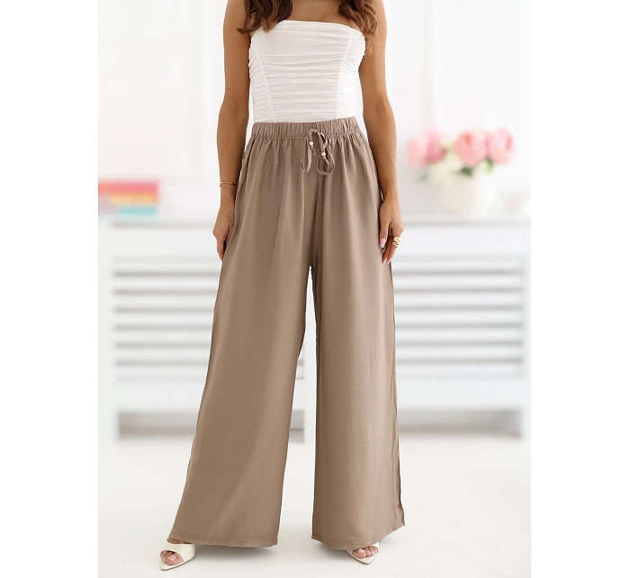 Spodnie CS SP model 22099825 ciemny bezowy - FPrice