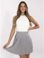 Sukňa NM SD RB62367.47P sivá Sukňa NM SD RB62367.47P sivá