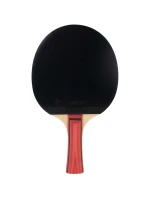 JUNIORSKÁ RAKETA NA STOLNÝ TENIS JOOLA TEAM