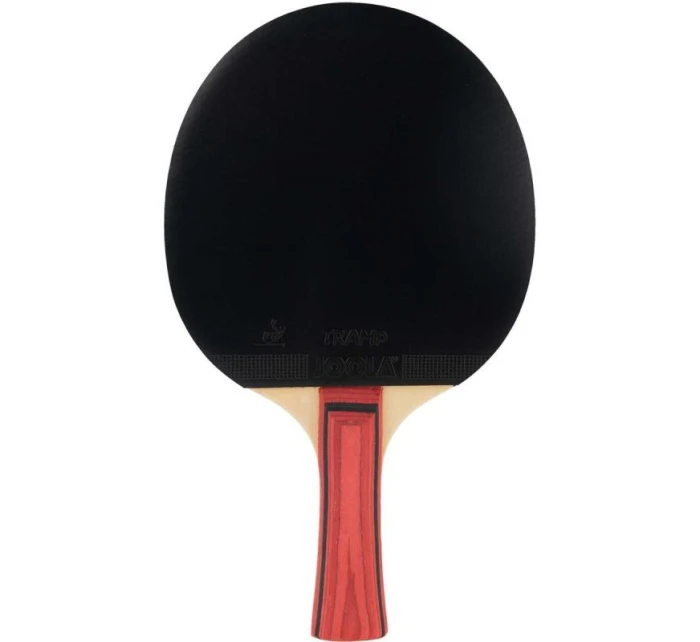 JUNIORSKÁ RAKETA NA STOLNÝ TENIS JOOLA TEAM