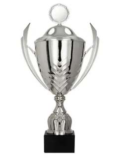 Kovový hrnček s viečkom