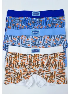 Chlapecké boxerky model 21108287 - Lovelygirl