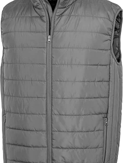 R Vesta 30. grey model 22500873 - Result