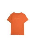 Pánske tričko 4F M 4FAW23TTSHM0865-70S