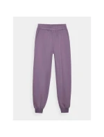 Dámské tepláky joggers model 21432931 dámské - 4F