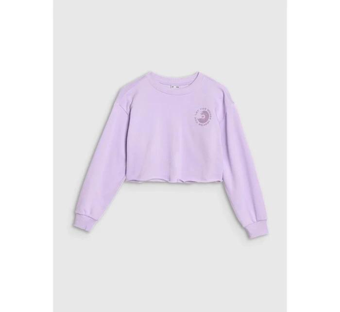 Dívčí mikina s kapucí bez model 21435800 - 4F Dívčí mikina s kapucí bez model 21435800 - 4F