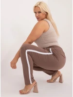 Tepláky RV DR 6643.95 hnedá Tepláky RV DR 6643.95 hnedá