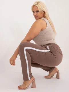 Tepláky RV DR model 17404242 hnědá - FPrice