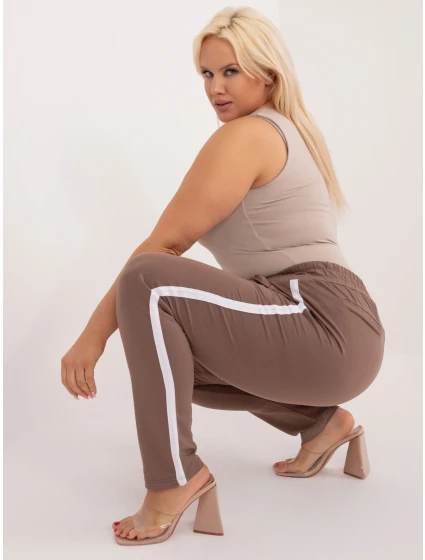 Tepláky RV DR 6643.95 hnedá Tepláky RV DR 6643.95 hnedá