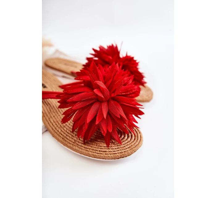 Dámské žabky s  Červené model 21592640 - Boto