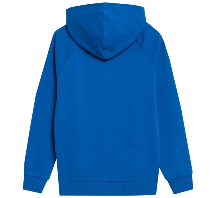 Chlapčenská mikina Jr 4FJSS23TSWSM220 36S - 4F Chlapčenská mikina Jr 4FJSS23TSWSM220 36S - 4F