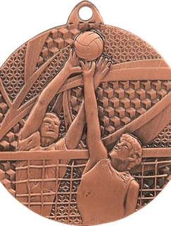 medal model 21830019