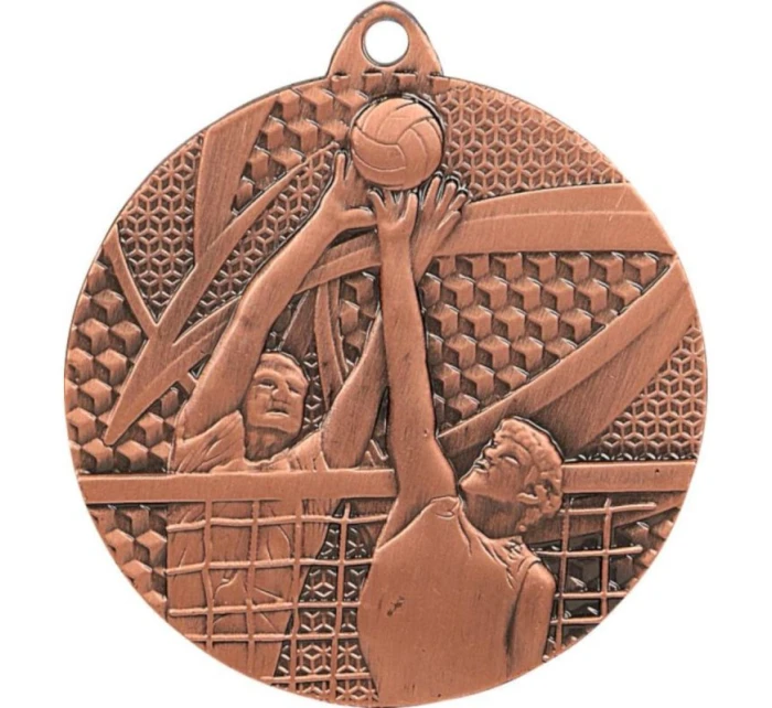 bronzová medaila - volejbal