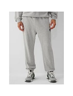 Spodnie dresowe joggery męskie model 22548159 - 4F