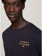 Pánske tričko LS TEE LOGO GOLD UM0UM03067DW5 - Tommy Hilfiger