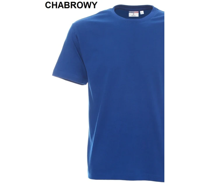 Pánské tričko Tshirt Heavy model 16110509 - PROMOSTARS