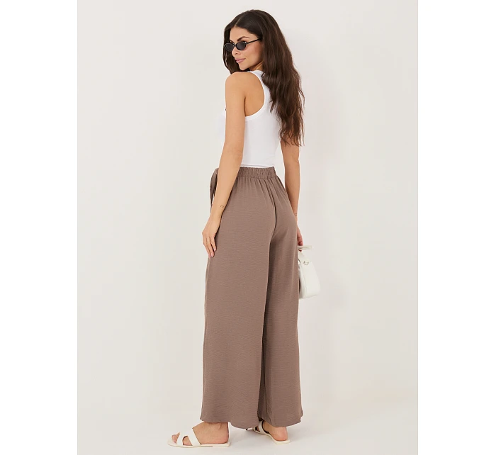 Spodnie CS SP model 22109846 brązowy - FPrice