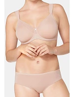 Soft model 229499 Triumph Soft model 229499 Triumph