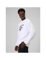 Pánská mikina bez kapuce model 21877664 - 4F Pánská mikina bez kapuce model 21877664 - 4F