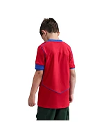 Detský dres Nike PSG Stadium 2025/26 červená HM4126 680