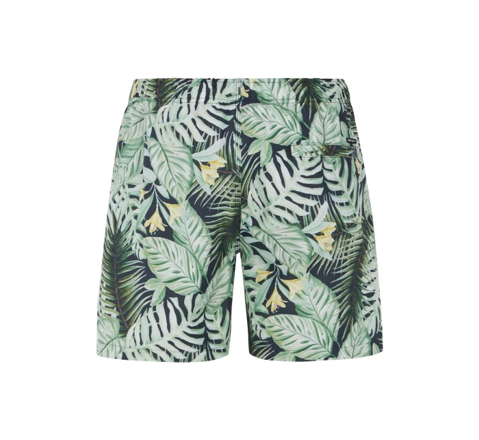 Pánské plážové šortky model 20438214 - Protest