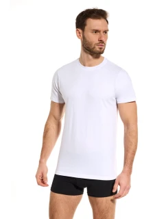 PÁNSKÉ TRIČKO model 22007008 - Noviti