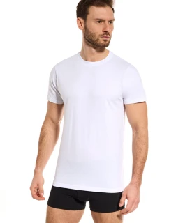 PÁNSKE TRIČKO TT002