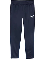 Puma Team Goal Training M nohavice 658639 06