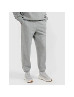 Pánské joggerové tepláky 4F 4FRMM00TTROM1625-27M Pánské joggerové tepláky 4F 4FRMM00TTROM1625-27M