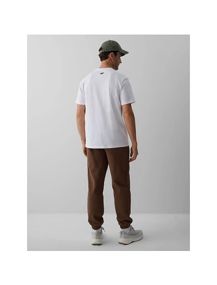 Spodnie dresowe joggery męskie model 22548171 - 4F Spodnie dresowe joggery męskie model 22548171 - 4F