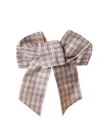 BA-19 KONTROLNÝ OBLÚK NA SPONE III RZ