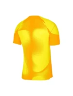 Pánske brankárske tričko Dri-FIT ADV Gardien 4 M DH7760-719 - Nike