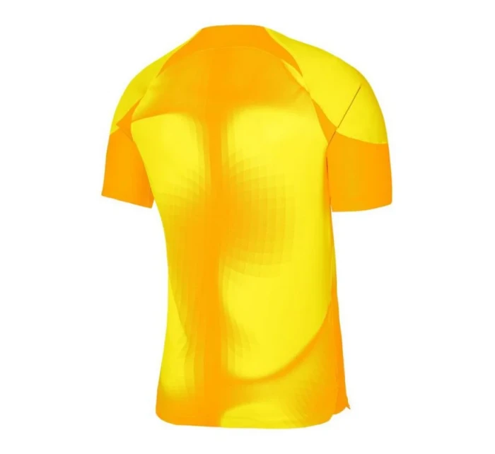 Pánske brankárske tričko Dri-FIT ADV Gardien 4 M DH7760-719 - Nike