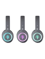 LED model 21862254 - DEFENDER