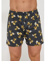 Pánské trenýrky model 22110503 - Cornette