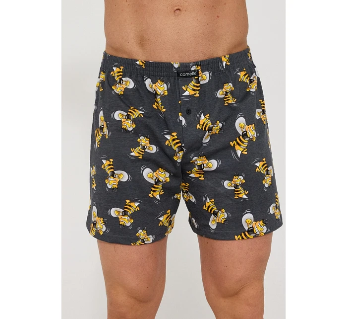 Pánské trenýrky model 22110503 - Cornette