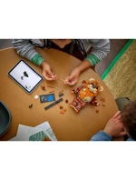 LEGO Star Wars 75430 Ewokovská bránka