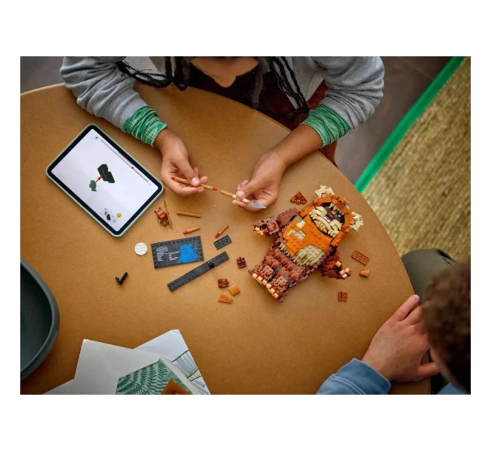 LEGO Star Wars 75430 Ewokovská bránka