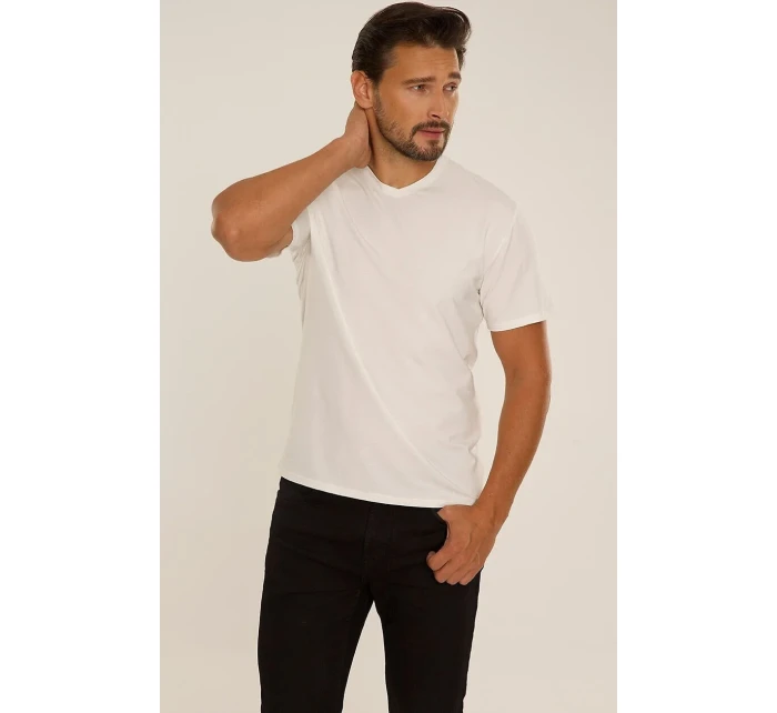 Pánské tričko  Tshirt M2XL model 20864090 - De Lafense