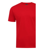 Pánské tričko červené model 19672747 - B2B Professional Sports