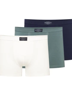 Súprava model 209613 Henderson