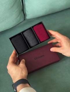 Ponožky model 21320594 Pánské ponožky Boxy A'3 4146 - Steven