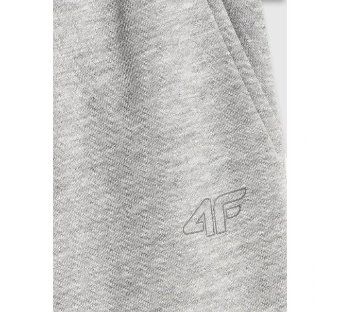 Chlapecké tepláky typu jogger model 22117408 - 4F