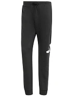 Nohavice adidas Essentials Big Logo French Terry M IN6163