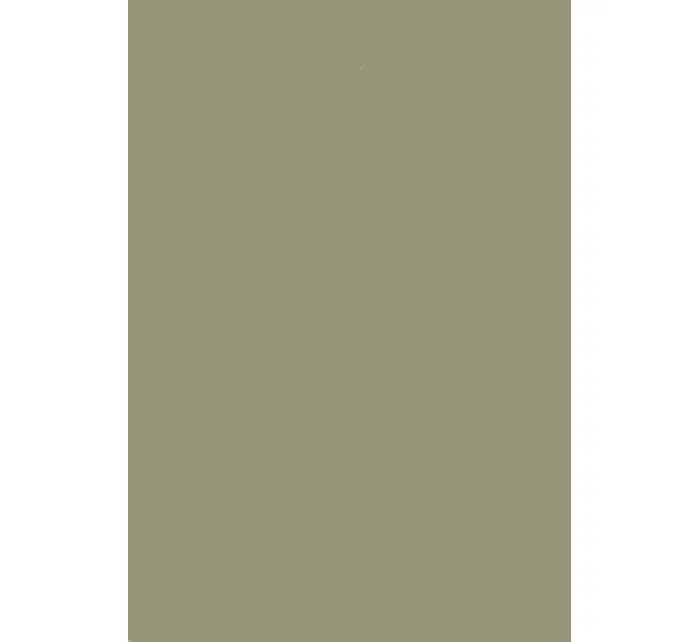 Dámské ponožky model 17766590 - Steven Dámské ponožky model 17766590 - Steven